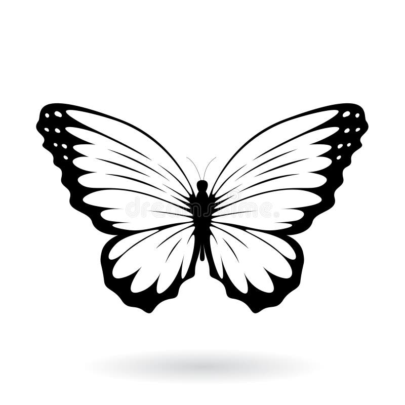 Black Butterfly Silhouette Illustration