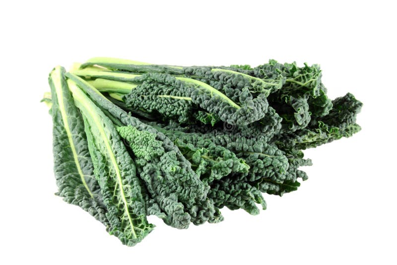 Black kale, italian kale stock image. Image of background 30239733