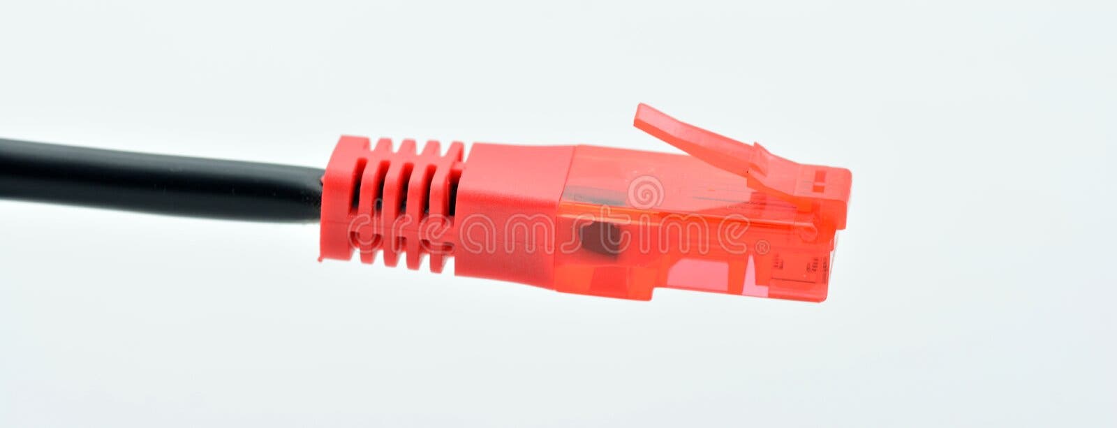 Constitución caricia desnudo Red ADSL Connector Cable, Isolated on White Stock Photo - Image of aislado,  conexiones: 247550840