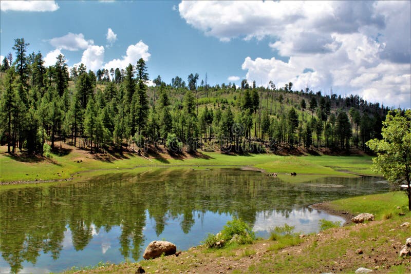 Black Canyon Lake, Navajo County, Arizona, United States, Apache Sitegreaves National Forest