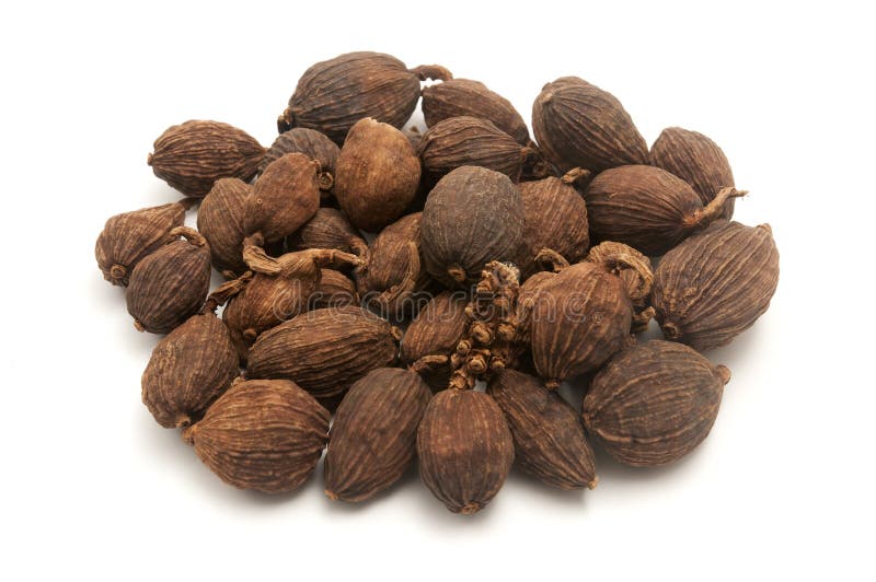 Black cardamom stock image. Image of fructus, brown, amomum 23613307
