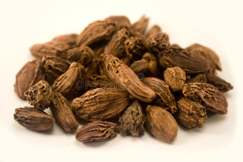 Black cardamom