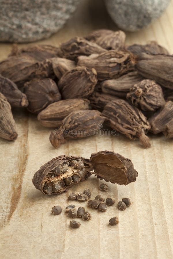 Black Cardamom Fruit and Seeds Stock Photo Image of aroma, cardamom