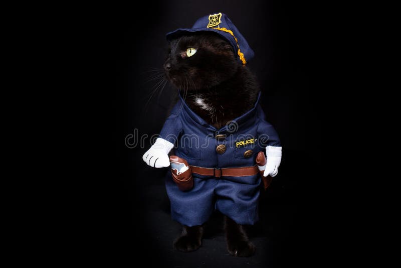 Portrait of a Funny Cat in a Police Hat and Tie Stock Photo - Image of  constable, kitten: 178698814