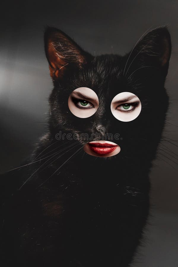 Black cat with eyes and lips of beautiful woman fun collage conceptual creative minimal stock images