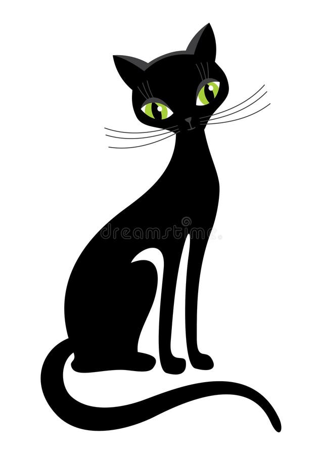 Black cat