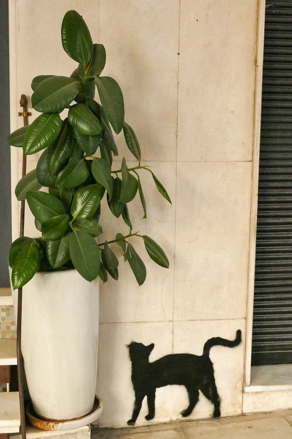 Street Art, Greece, Athens, Black cat royalty free stock images Street Art, Greece, Athens, Black cat royalty free stock images