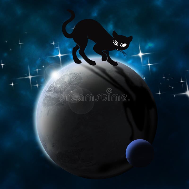 Black cat on the planet