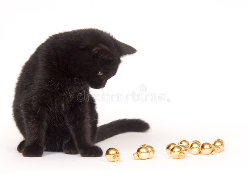 Black cat playing with christmas ornaments