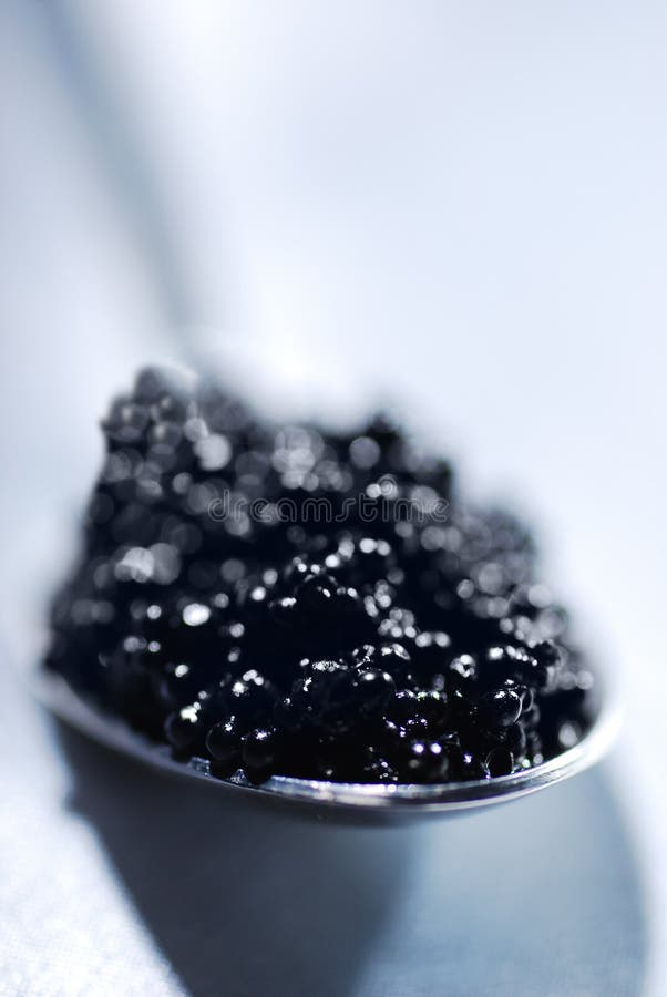 Black caviar stock photo. Image of russian, premium, symbol - 16134192