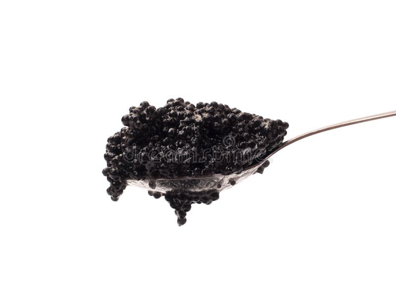 Black caviar in spoon stock photo. Image of fish, food - 10731274