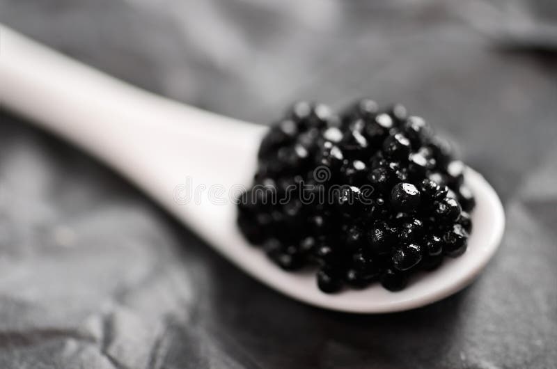 Black Caviar in a White Ceramic Spoon on a Dark Gray Background Stock ...