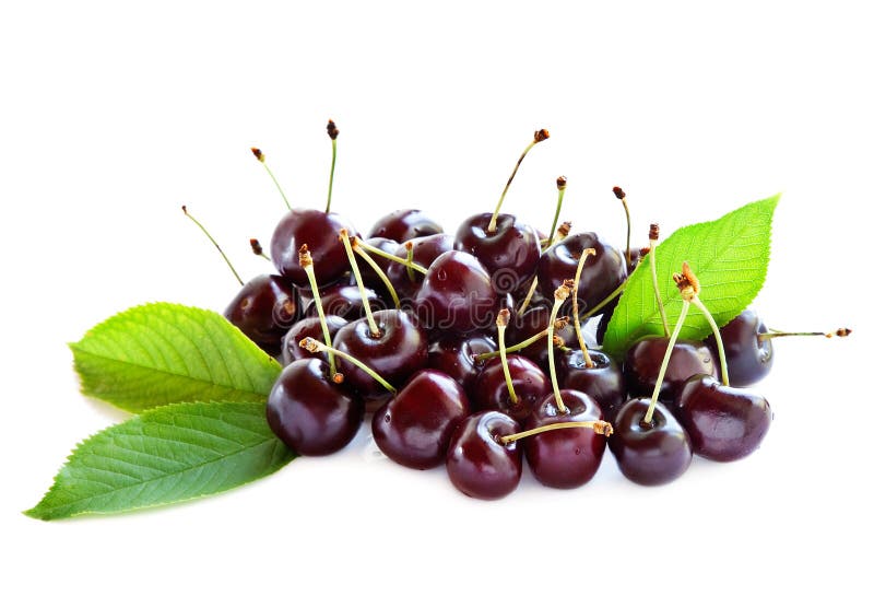 18,371 Black Cherries Stock Photos Free & RoyaltyFree Stock Photos