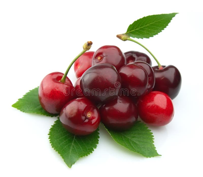 Black cherries stock image. Image of fresh, purple, sweet 21980679