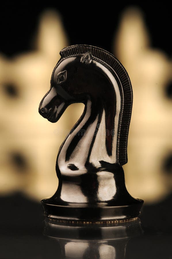 Black Chess Piece of Knight with White Pieces Stock Photo - Image of black,  hobby: 214107058