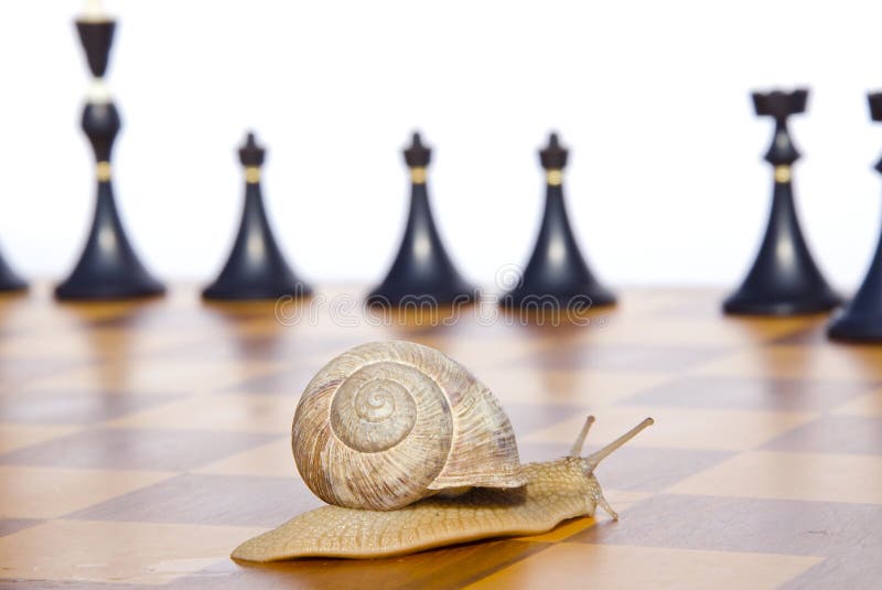 Black chess and snail on chessboard