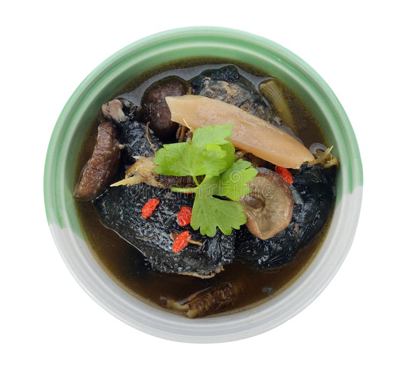 Flower Cultivation Gouache Phoenix of Black Chicken Soup in Whit Stock