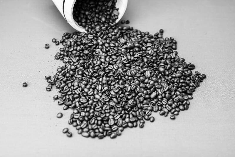 Black Coffee Cup. Breakfast Coffee Concept Stock Photo Image of black