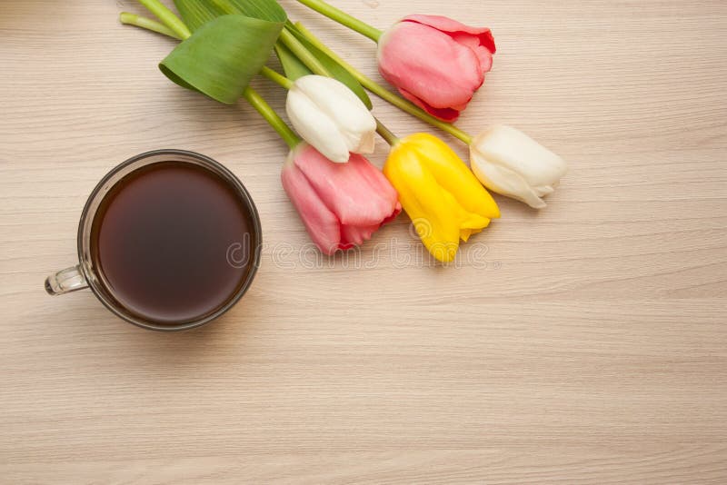 Black Coffee and Tulips on the Table Stock Photo Image of drink