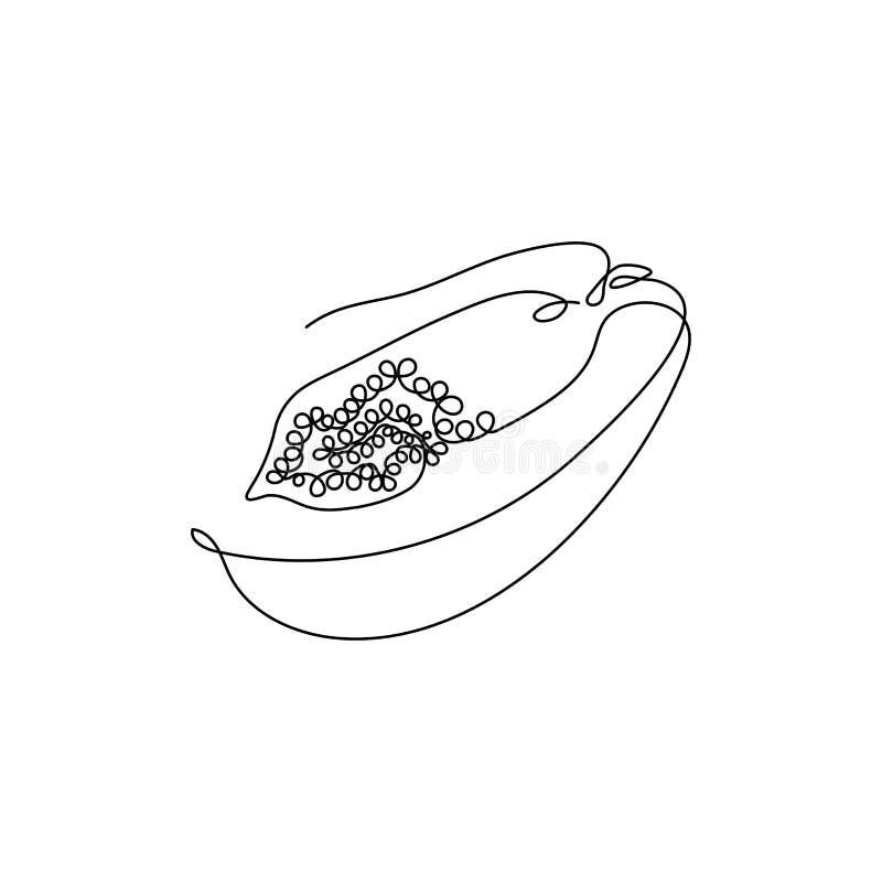 Black Continuous One Line Drawing. Papaya Exotic Fruit. Vector