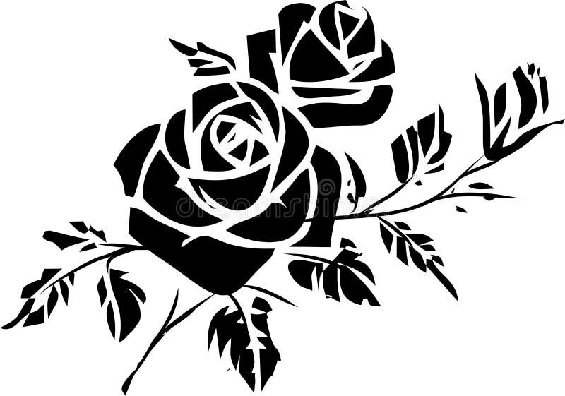 black contour drawing of a vecca with blooming roses on a white background