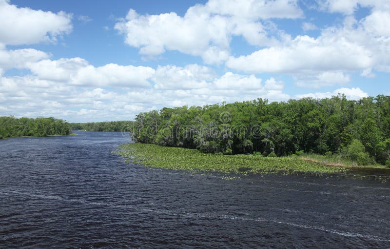 Black Creek river stock image. Image of natural, outside 125460667