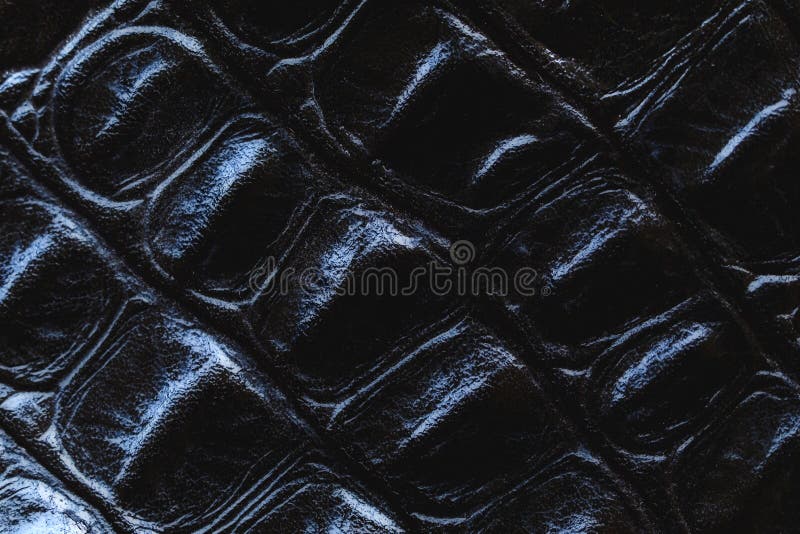 Black Crocodile Skin Closeup. Stock Photo Image of outdoors, color