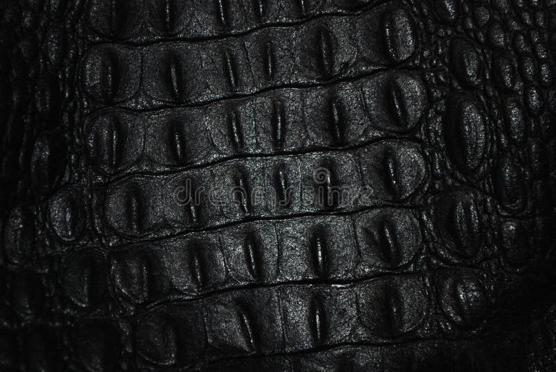 black leather crocodile texture as background, Stock image