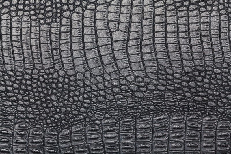 Black Crocodile Skin Texture Stock Image Image of background, animal