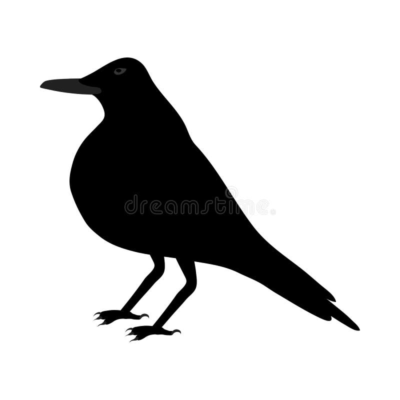 Black Crow vector illustration