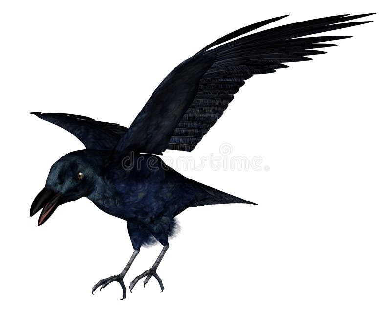 Black crow - 3D render vector illustration