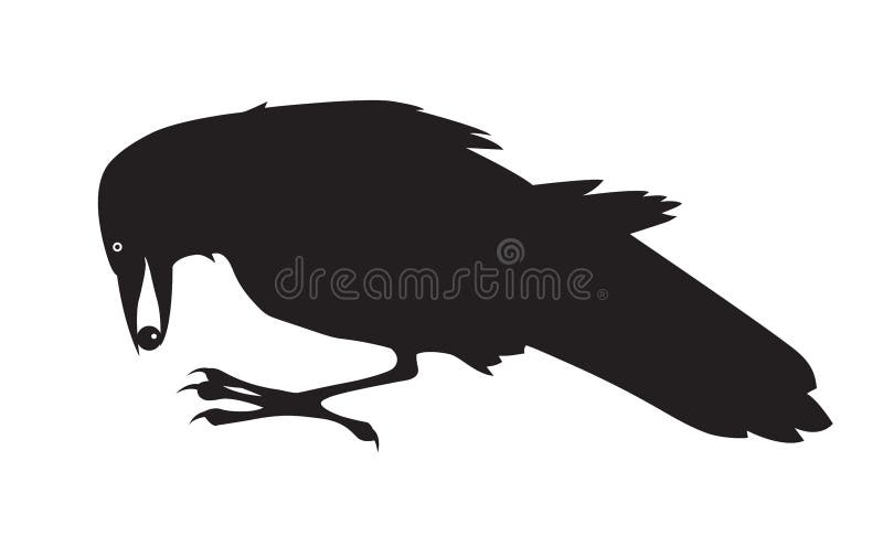 Black crow finding bead. Vector illustration.