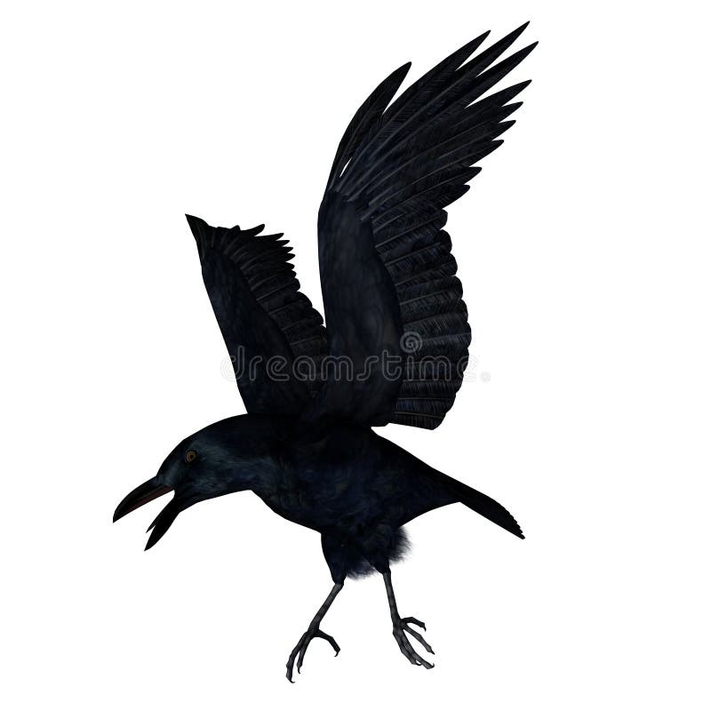 Black crow flying - 3D render stock illustration