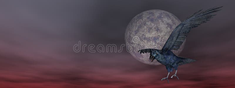 Black crow by night - 3D render royalty free illustration