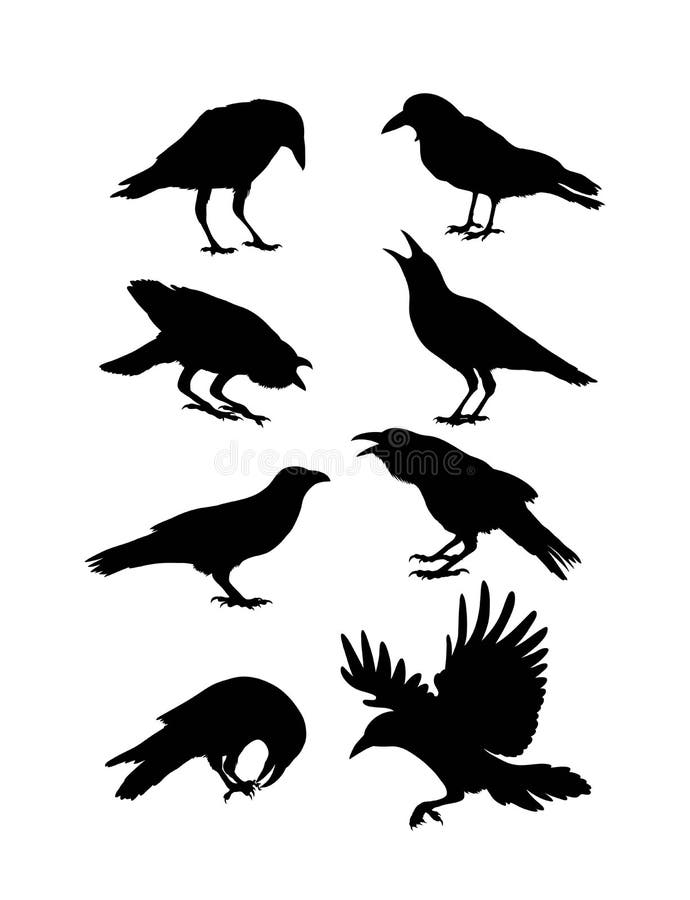 Black Crow Silhouettes stock illustration