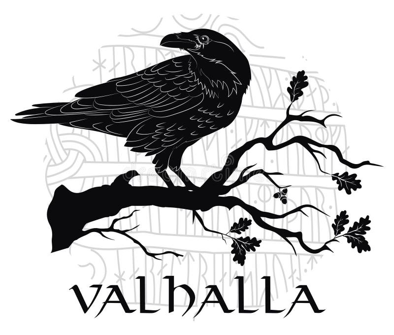 Black crow sitting on a branch of an oak tree, and Scandinavian runes, carved into stone vector illustration