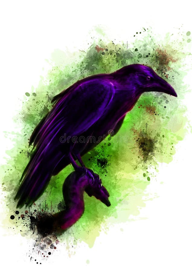 The black crow sitting on a dry branch vector illustration