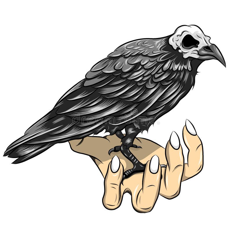 The black crow with stand on the hand stock illustration