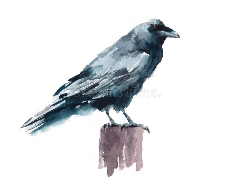 Black Crow Watercolor Raven Bird Standing on the stump Hand Painted Illustration isolated on white background stock illustration