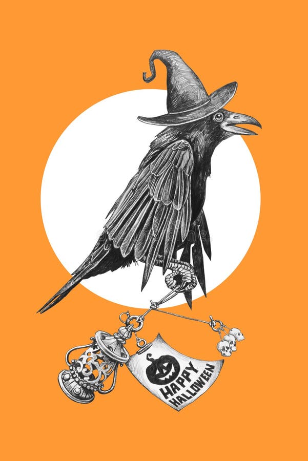 Black crow in a witches hat. vector illustration