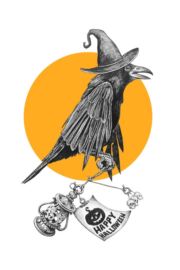 Black crow in a witches hat. royalty free illustration