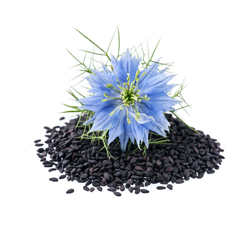 Black cumin seeds with nigella sativa flower