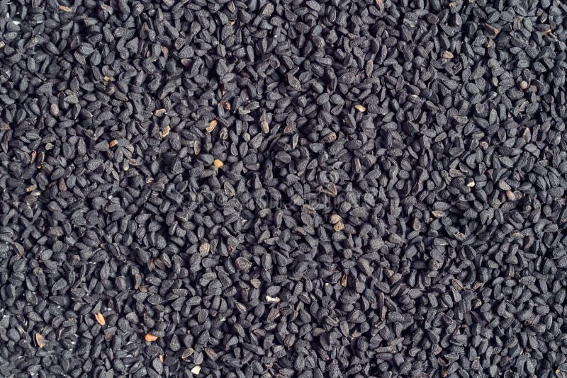 Black cumin seeds stock photo. Image of nature, food 208395210
