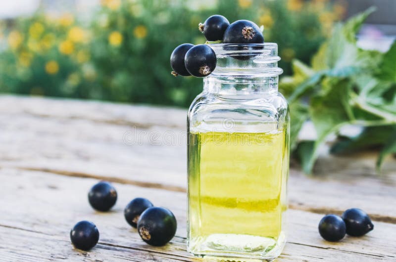 Black Currant Extract in a Glass Bottle. Medicinal Tincture with Black
