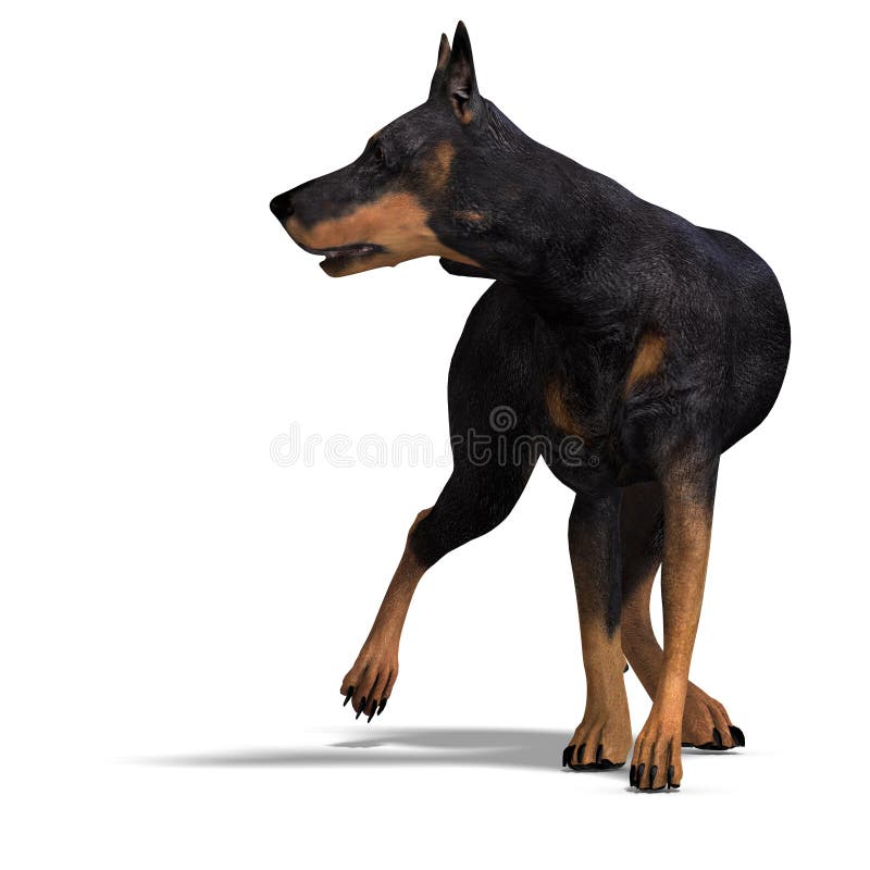 Black Doberman Dog. 3D rendering with clipping