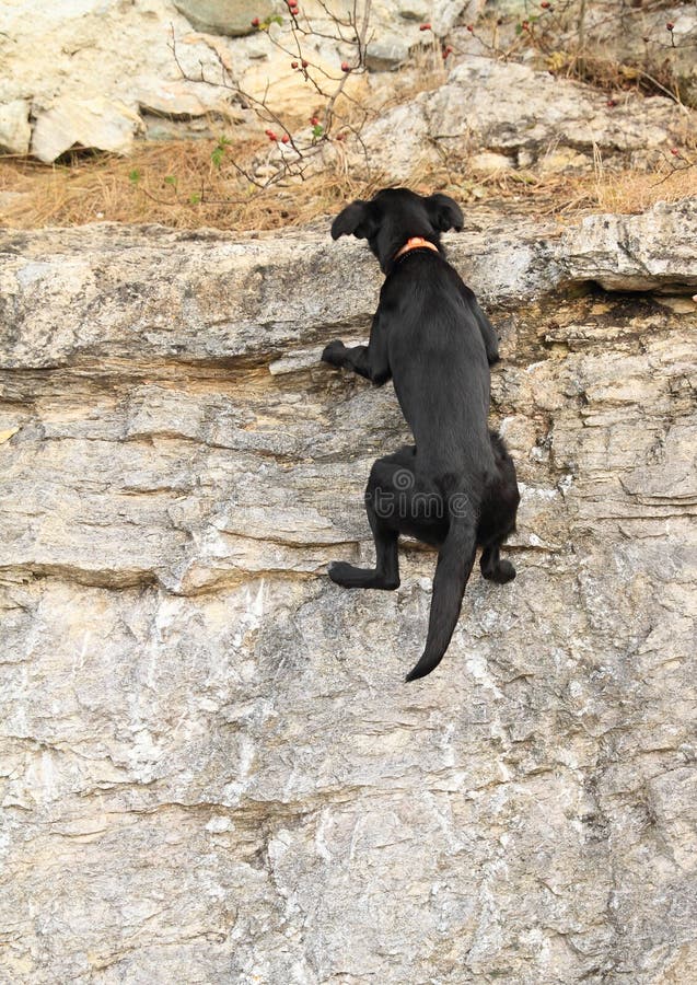 Boy climbing rock hill stock image. Image of hill, grey 32568335