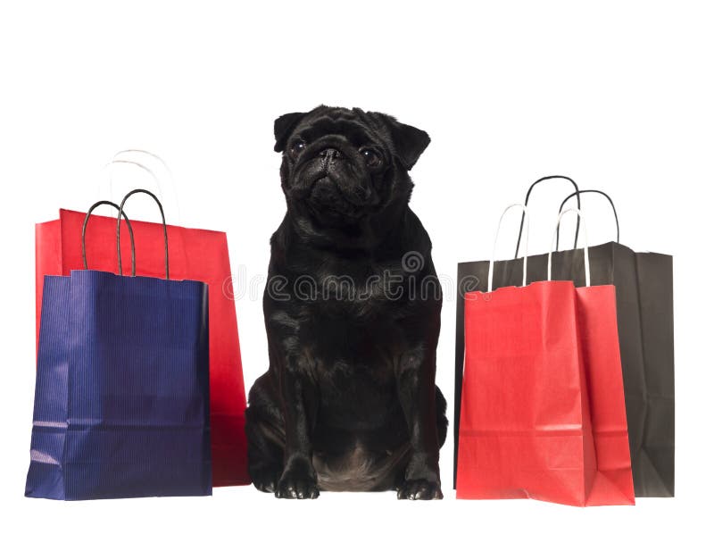 Shopaholic Luxury Shopping Bag Lace Ruffle Dog Dress – Fetch Shops