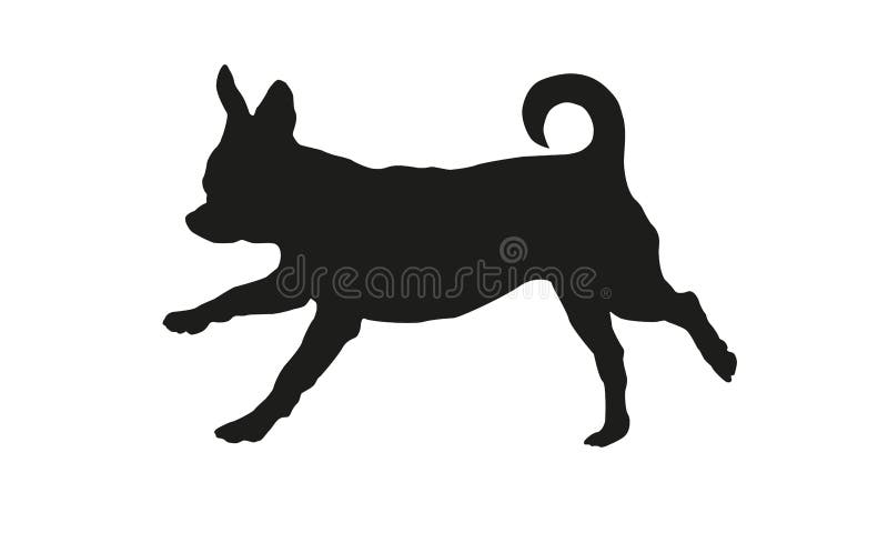 Black Chihuahua White Stock Illustrations 640 Black Chihuahua White Stock Illustrations Vectors Clipart Dreamstime Black Chihuahua White Stock Illustrations 640 Black Chihuahua White Stock Illustrations Vectors Clipart Dreamstime