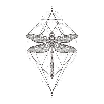 Art Dragonfly Tattoo Stock Illustrations – 2,261 Art Dragonfly Tattoo ...