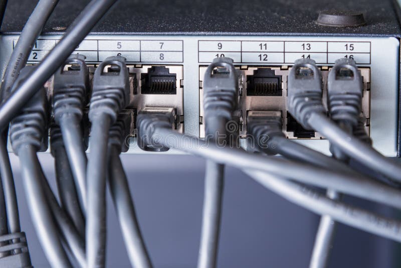 Black ethernet cables connected to switch royalty free stock photo